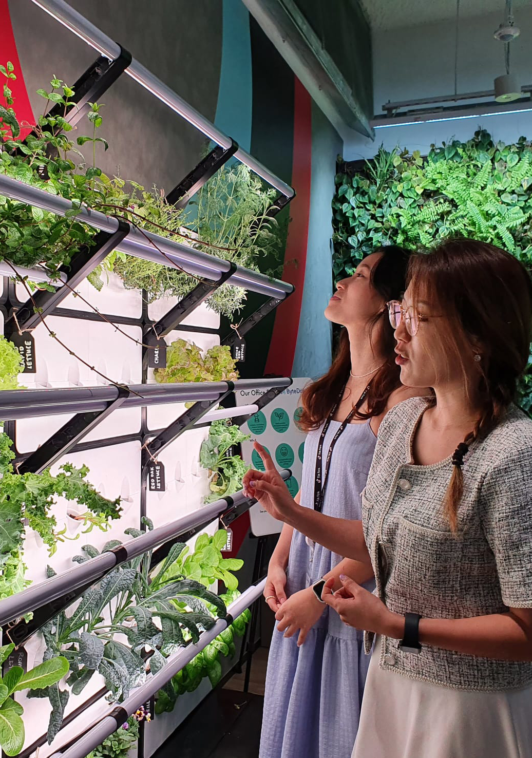 Bytedance HQ - Employees enjoying their indoor edible garden