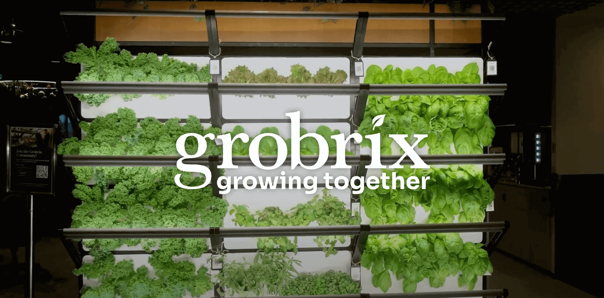 Gobrix