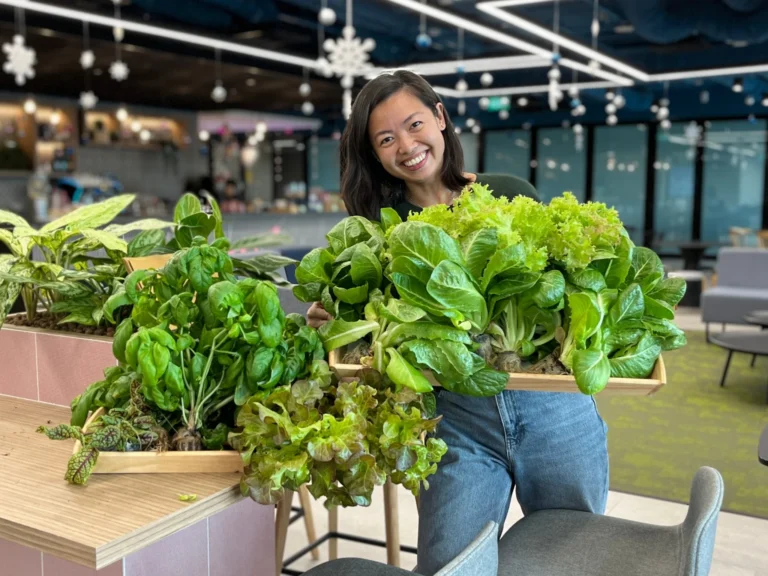 KPMG Harvest with Grobrix Greens