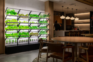 Grobrix Edible Green Wall at M Moser