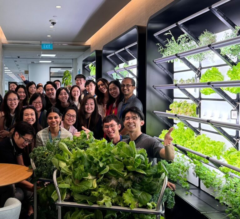Mobile Capsule Grobrix Installation at Amazon HQ in Singapore, team bonding
