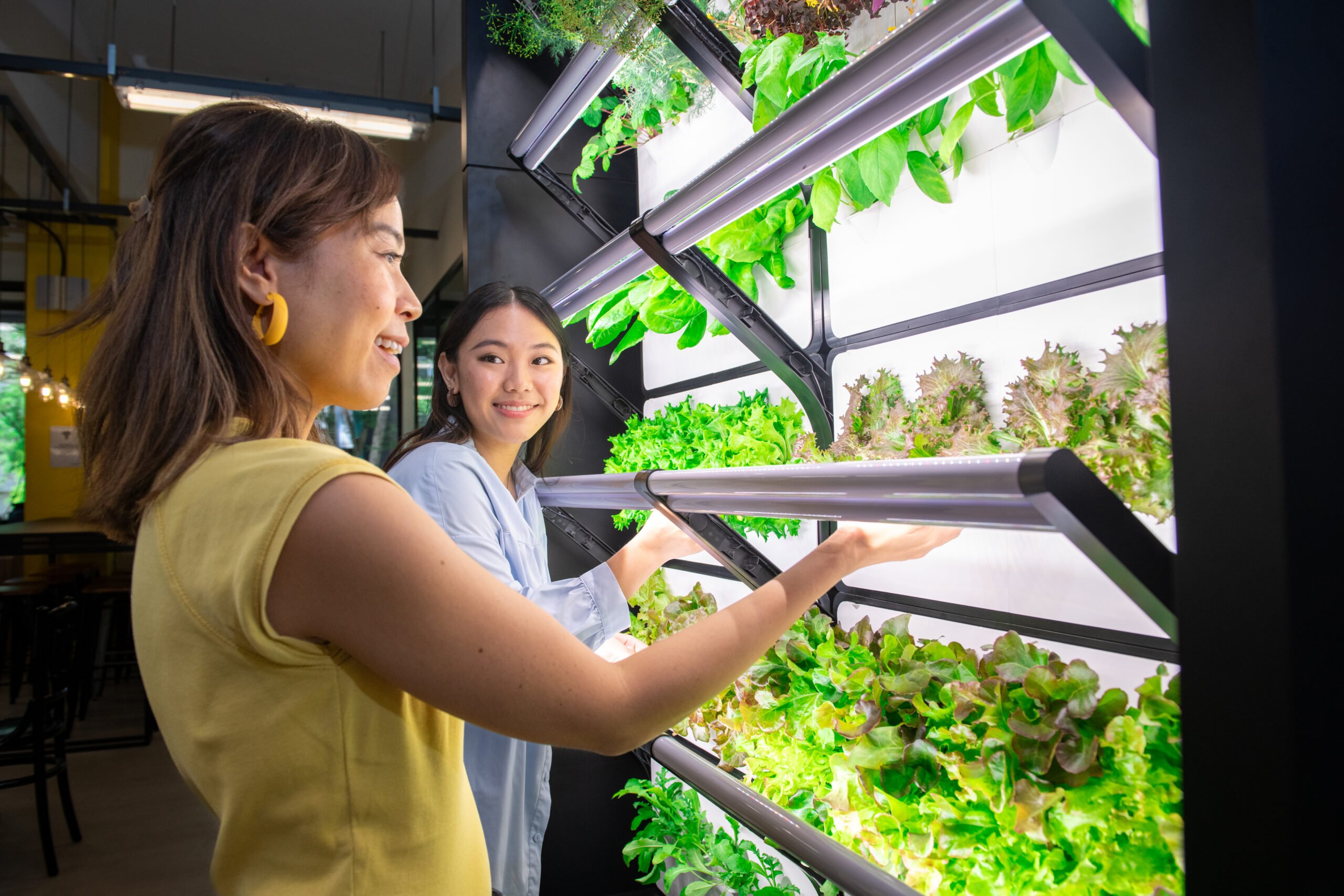 Urban Farming