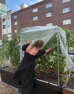 Abby picking fruit in Green City Growers garden